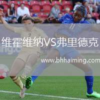 維霍維納VS弗里德克