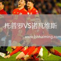 托普羅VS諾瓦維斯