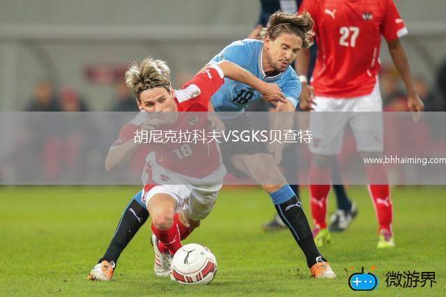 胡尼克拉科夫VSGKS貝查特