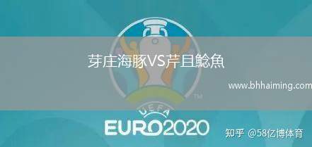 芽莊海豚VS芹且鯰魚