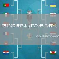 維也納維多利亞VS維也納SC