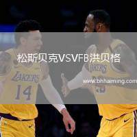 松斯貝克VSVFB洪貝格
