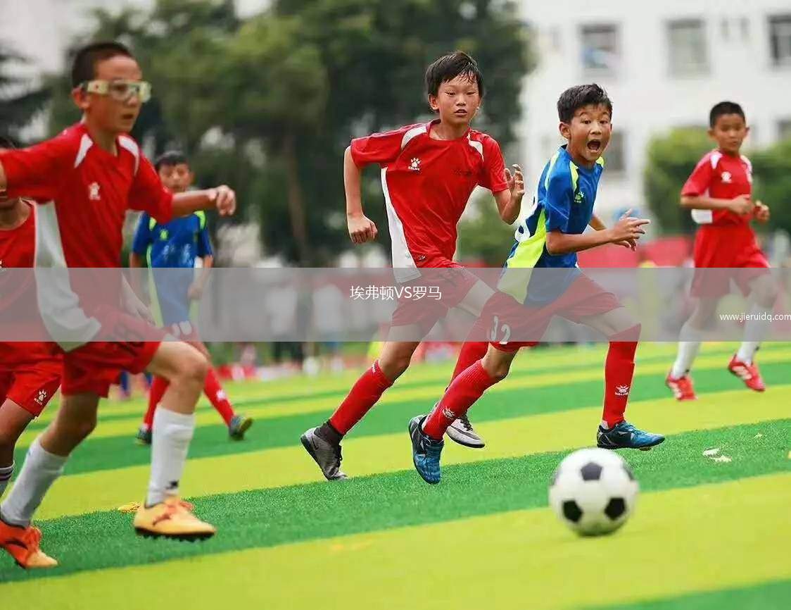 貝勒米VS戈爾達巴尼