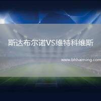 斯達(dá)布爾諾VS維特科維斯