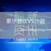 豪爾費(fèi)坎VS沙迦