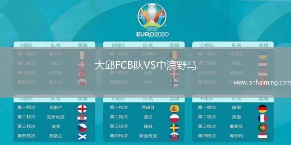 大邱FCB隊(duì)VS中浪野馬