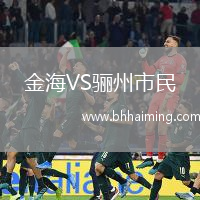 金海VS驪州市民