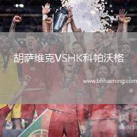 胡薩維克VSHK科帕沃格