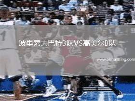 波里索夫巴特B隊(duì)VS高美爾B隊(duì)