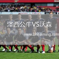 澤西公牛VS沃森