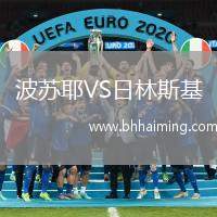 波蘇耶VS日林斯基