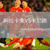 阿拉卡朱VS卡尼德