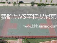 費哈瓦VS辛特羅尼克