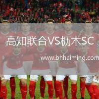 高知聯(lián)合VS櫪木SC