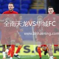 全南天龍VS華城FC