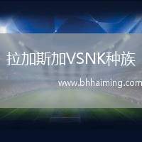 拉加斯加VSNK種族