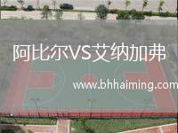 阿比爾VS艾納加弗