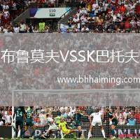 布魯莫夫VSSK巴托夫