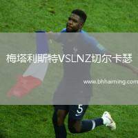 梅塔利斯特VSLNZ切爾卡瑟