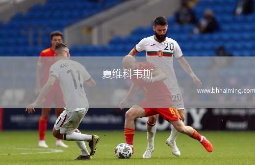 夏維科韋斯(U19)VS布杜康斯特U19