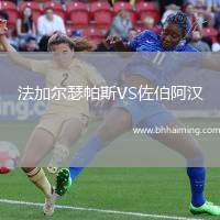 法加爾瑟帕斯VS佐伯阿漢