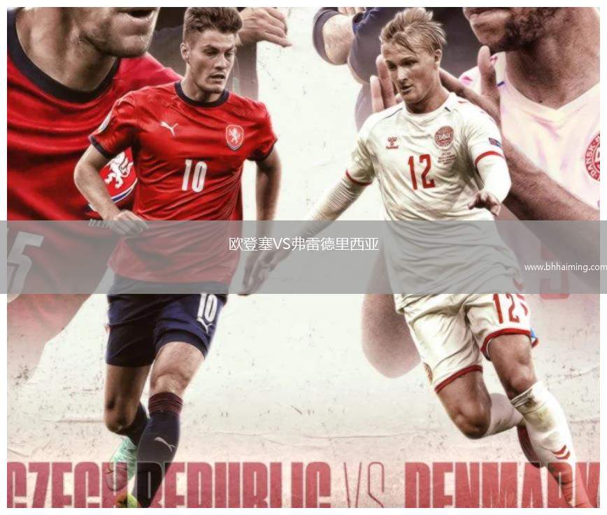 歐登塞VS弗雷德里西亞