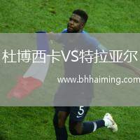 杜博西卡VS特拉亞爾