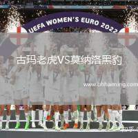 古瑪老虎VS莫納洛黑豹