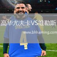 高華尤夫卡VS維勒斯