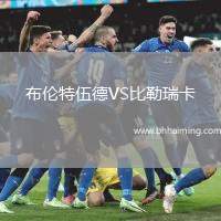 布倫特伍德VS比勒瑞卡