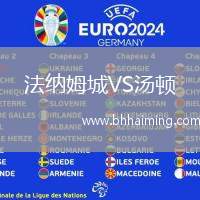 法納姆城VS湯頓