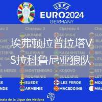 埃弗頓拉普拉塔VS拉科魯尼亞狼隊(duì)