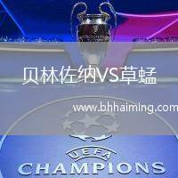 貝林佐納VS草蜢