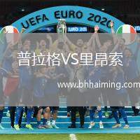 普拉格VS里昂索