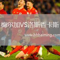 梅爾加VS洛斯香卡斯