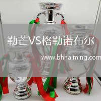勒芒VS格勒諾布爾