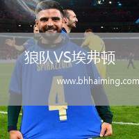 狼隊(duì)VS埃弗頓