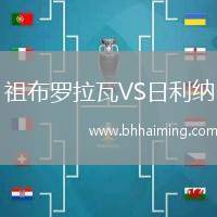 祖布羅拉瓦VS日利納