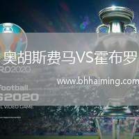 奧胡斯費(fèi)馬VS霍布羅