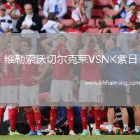 維勒索沃切爾克萊VSNK紫日