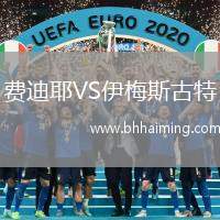 費(fèi)迪耶VS伊梅斯古特