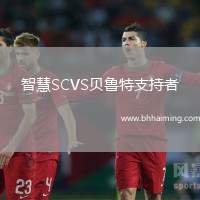 智慧SCVS貝魯特支持者