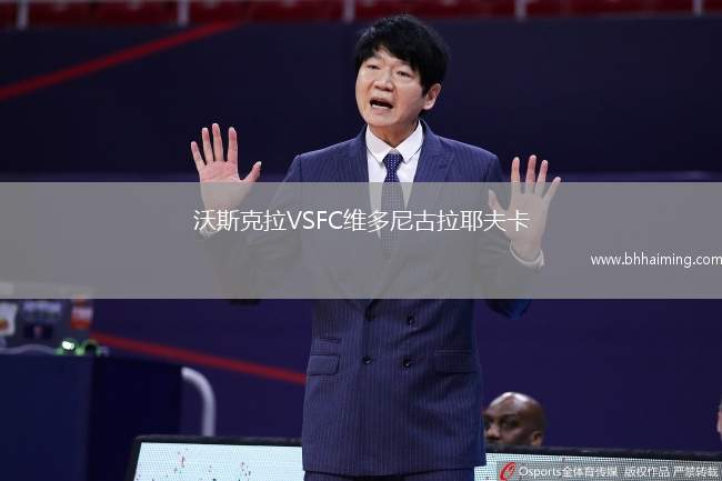 沃斯克拉VSFC維多尼古拉耶夫卡