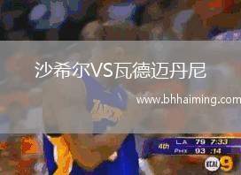 沙希爾VS瓦德邁丹尼