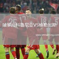 哈羅拉科魯尼亞VS維勒加斯