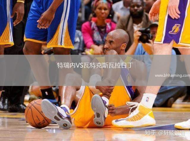 特瑞內(nèi)VS瓦特克斯瓦拉日丁