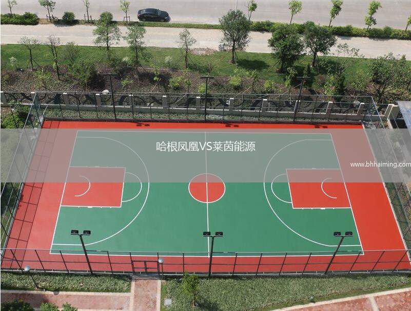 哈根鳳凰VS萊茵能源