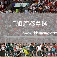 盧加諾VS草蜢
