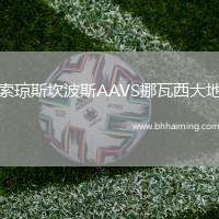 索瓊斯坎波斯AAVS挪瓦西大地