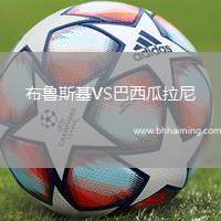 布魯斯基VS巴西瓜拉尼